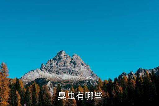  臭蟲有哪些