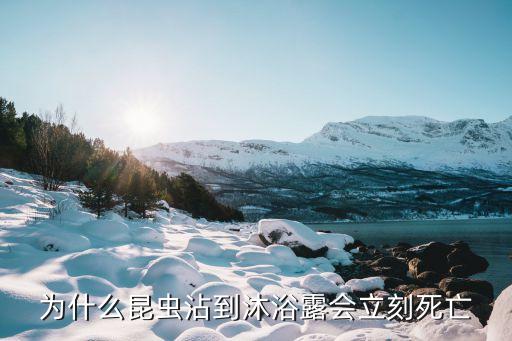 為什么昆蟲沾到沐浴露會立刻死亡