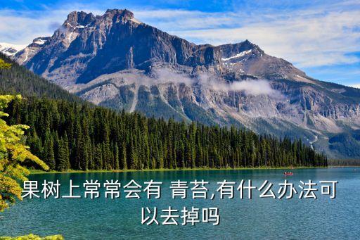 果樹上常常會有 青苔,有什么辦法可以去掉嗎