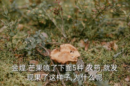 金煌 芒果噴了下面5種 農藥,就發現果了這樣子,為什么呢