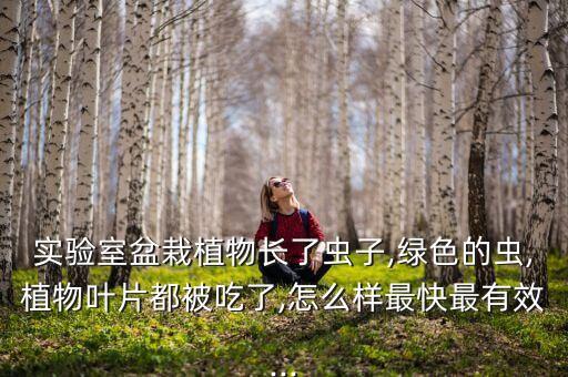 綠植有蟲打什么農藥,什么綠植不容易生蟲