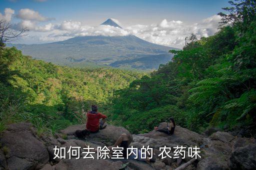 什么東西去農藥味,什么農藥沒有味毒性有大