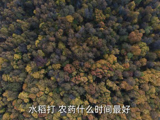水稻打 農藥什么時間最好