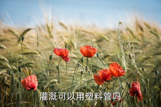 灌溉可以用塑料管嗎
