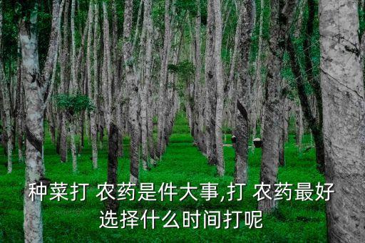 種菜打 農藥是件大事,打 農藥最好選擇什么時間打呢