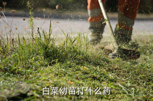 大白菜的農藥是什么