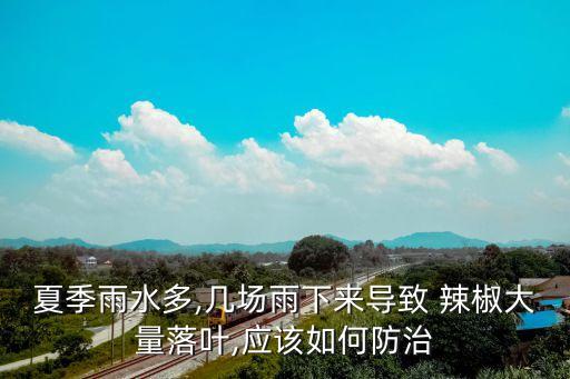 下雨后辣椒打什么農藥,每天下雨對辣椒有什么影響