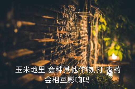 玉米治蟲用什么農藥好,玉米套種什么農藥