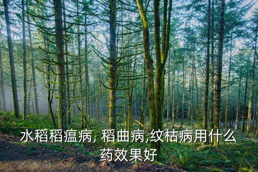 稻曲病用什么農(nóng)藥,什么農(nóng)藥防治稻曲病最好