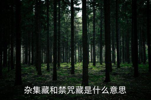 雜集藏和禁咒藏是什么意思