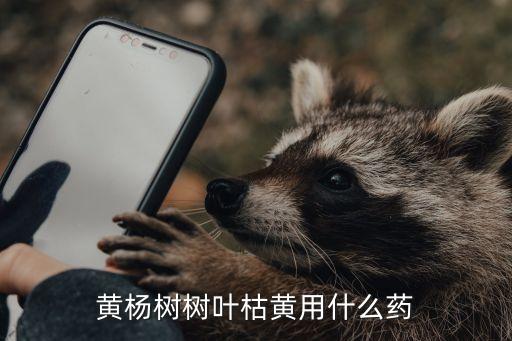 什么農藥能讓植物葉子變黃