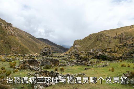 治稻瘟病三環唑與稻瘟靈哪個效果好