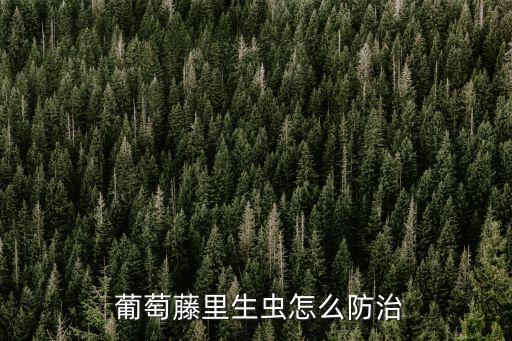 治葡萄白粉病什么農藥好,葡萄白粉病用什么藥