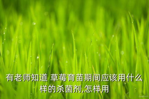 草莓要打什么農藥好用,草莓一般打什么農藥