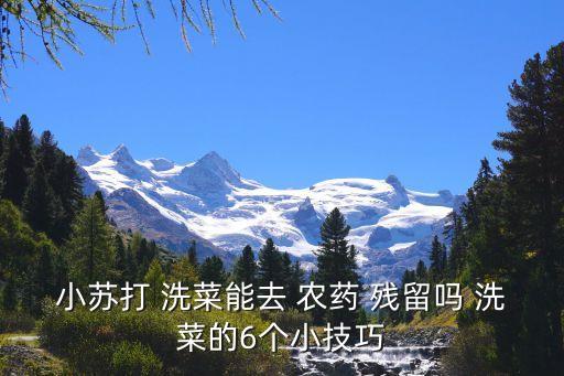 小蘇打 洗菜能去 農藥 殘留嗎 洗菜的6個小技巧
