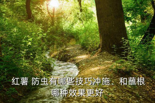  紅薯 防蟲有哪些技巧沖施、和蘸根哪種效果更好