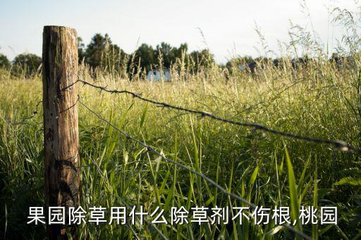 早春果園噴什么農藥