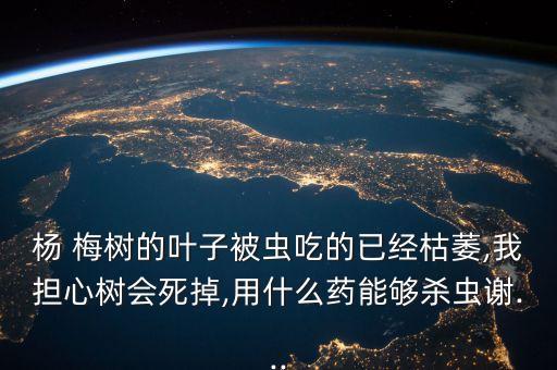 現在楊梅樹打什么農藥,楊梅樹打什么農藥可以疏果