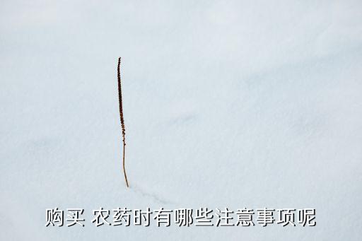 農藥充錢買什么,農藥v10要充多少錢