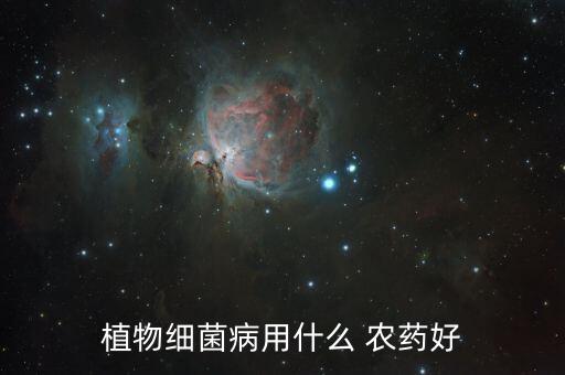 植物細菌病用什么 農藥好