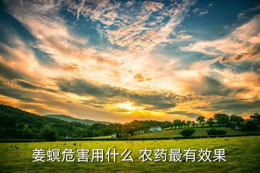 姜螟危害用什么 農(nóng)藥最有效果