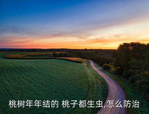 桃樹年年結的 桃子都生蟲,怎么防治