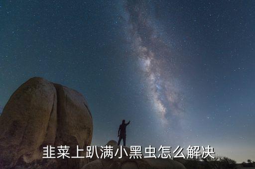  韭菜上趴滿小黑蟲怎么解決