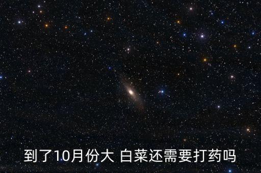到了10月份大 白菜還需要打藥嗎