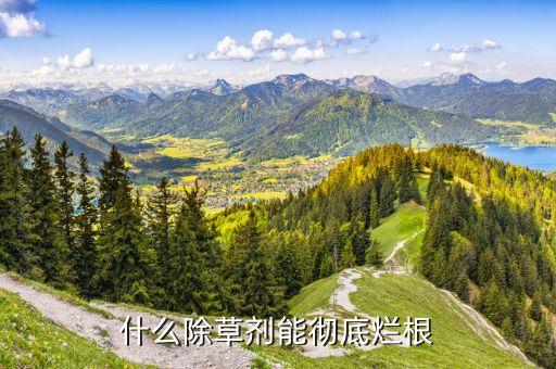 什么除草劑能徹底爛根
