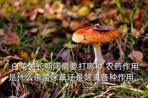 白菜生長(zhǎng)期間需要打哪種 農(nóng)藥作用是什么殺菌除草還是除蟲各種作用...