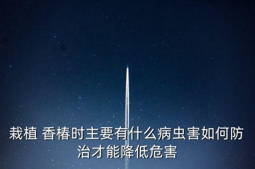 栽植 香椿時(shí)主要有什么病蟲害如何防治才能降低危害