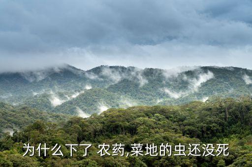 為什么下了 農藥,菜地的蟲還沒死