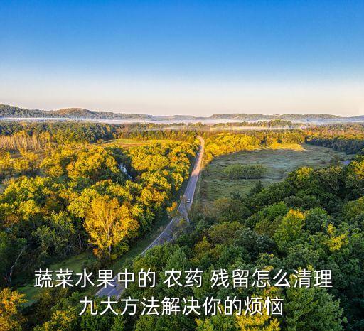  蔬菜水果中的 農藥 殘留怎么清理九大方法解決你的煩惱