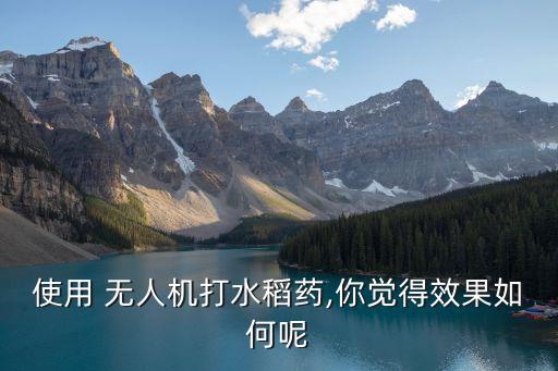 使用 無人機打水稻藥,你覺得效果如何呢