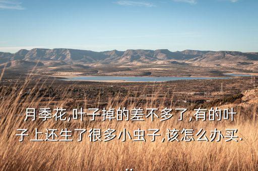 月季長蟲用什么農(nóng)藥殺死