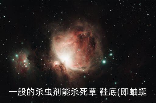 一般的殺蟲劑能殺死草 鞋底(即蚰蜒