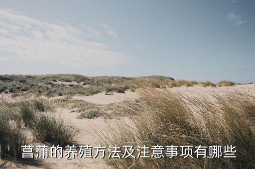 臭菖蒲能制作什么土農藥