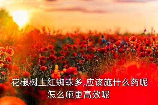  花椒樹上紅蜘蛛多,應(yīng)該施什么藥呢怎么施更高效呢