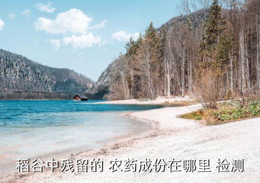 稻谷中殘留的 農藥成份在哪里 檢測