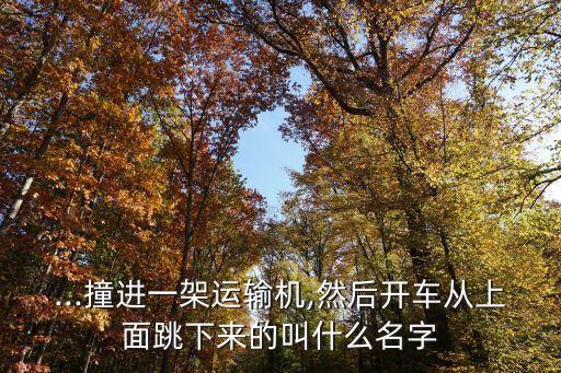 ...撞進一架運輸機,然后開車從上面跳下來的叫什么名字