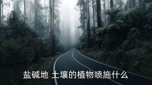 鹽堿地 土壤的植物噴施什么