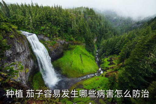種植 茄子容易發生哪些病害怎么防治