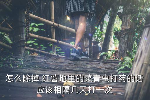 種紅薯打什么農藥,紅薯蛀蟲用什么農藥
