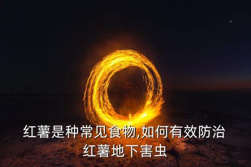 紅薯儲存用什么農藥,紅薯適合什么溫度儲存