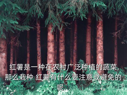 紅薯要噴什么農藥呢,紅薯苗不宜用什么農藥