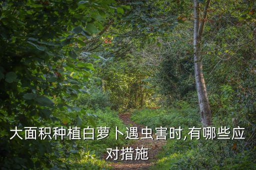 白羅卜打什么農藥殺蟲