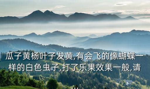 瓜子黃楊葉子發(fā)黃,有會(huì)飛的像蝴蝶一樣的白色蟲(chóng)子,打了樂(lè)果效果一般,請(qǐng)...