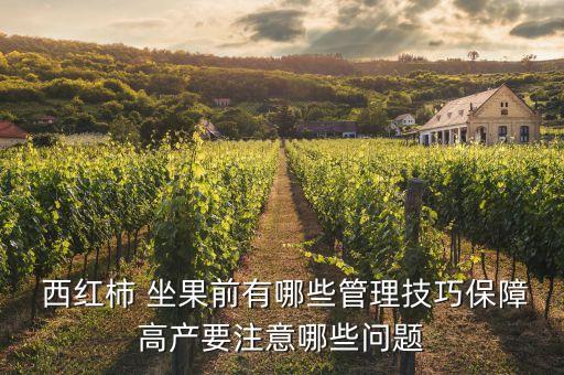 西紅柿坐果打什么農藥