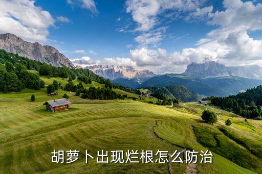  胡蘿卜出現(xiàn)爛根怎么防治