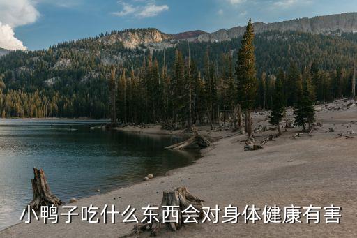  小鴨子吃什么東西會對身體健康有害